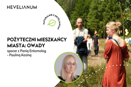"Pożyteczni mieszkańcy miasta: owady" - spacer z dr Pauliną Koziną