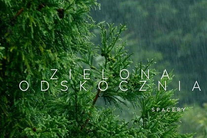 Dla każdego / 2025-05-28